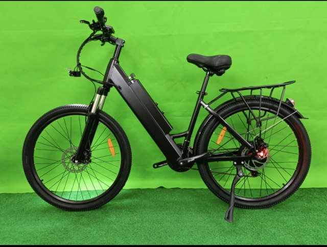 750 W Electric Bike