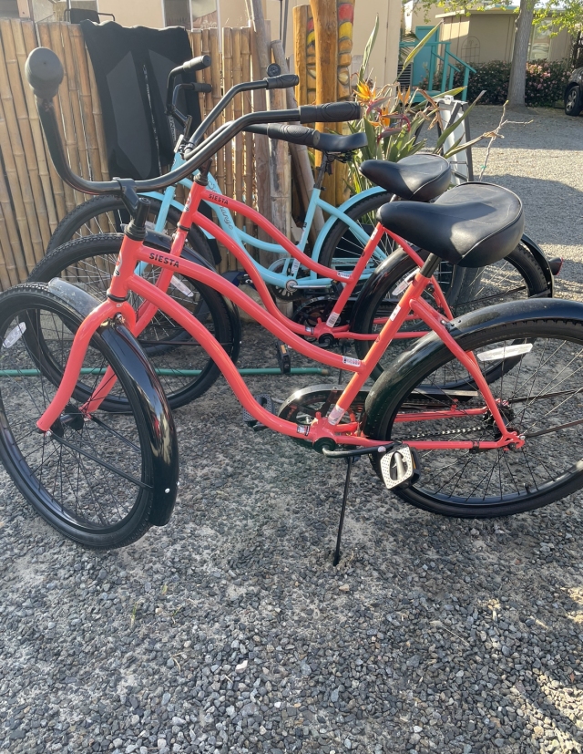 Beach Cruiser Bike - Image 4