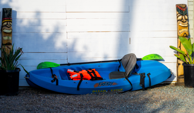 Kayak with Paddle n Life vest